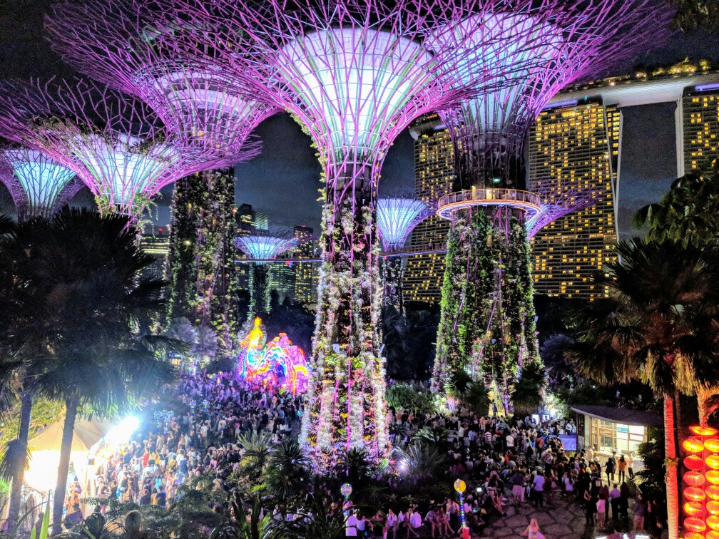 Supertrees de Singapour illuminés pendant le spectacle son et lumière de nuit