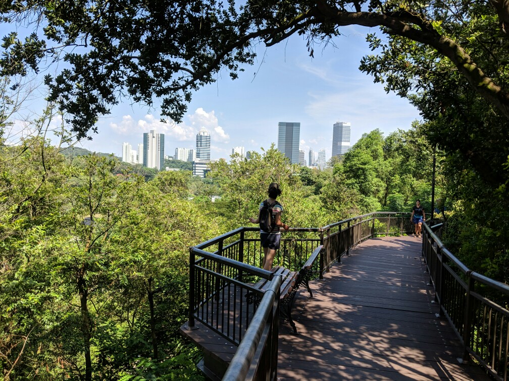 Point de vue depuis Southern Ridges Singapour