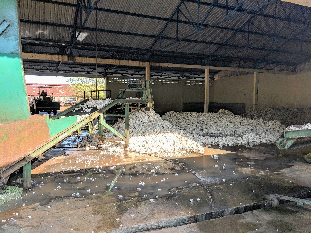 Caoutchouc lavé déposé sur le sol de l'usine près de Kampong Cham, Cambodge