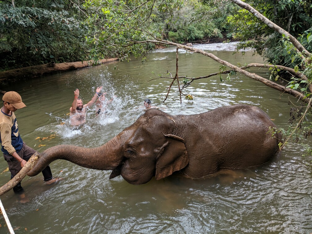 éléphant se baignant dans une rivière avec des gens