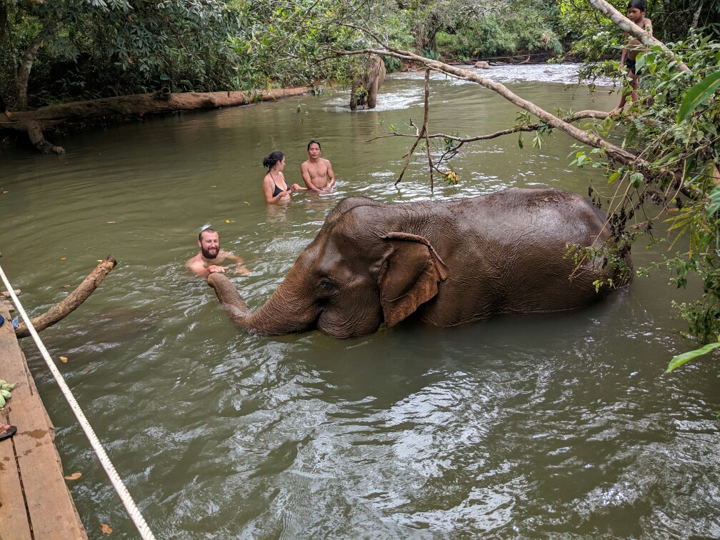Sylvain touche la trompe dun éléphant lors du bain près de Sen Monorom, Cambodge