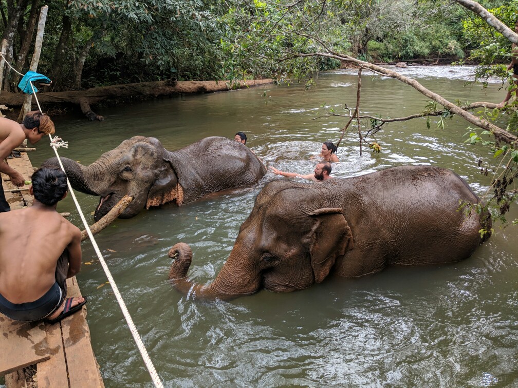 Deux éléphants prennent leur bain en notre compagnie près de Sen Monorom, Cambodge