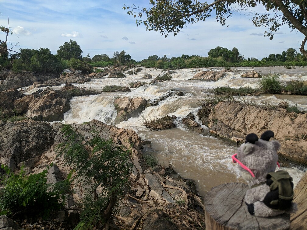 Biquette regarde les chutes de Li Phi sur Don Khone, Laos