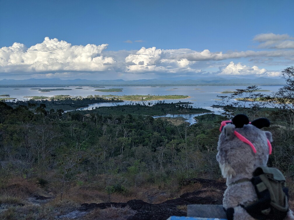 Biquette regarde le panorama offert à la fin du chemin des orchides au Laos