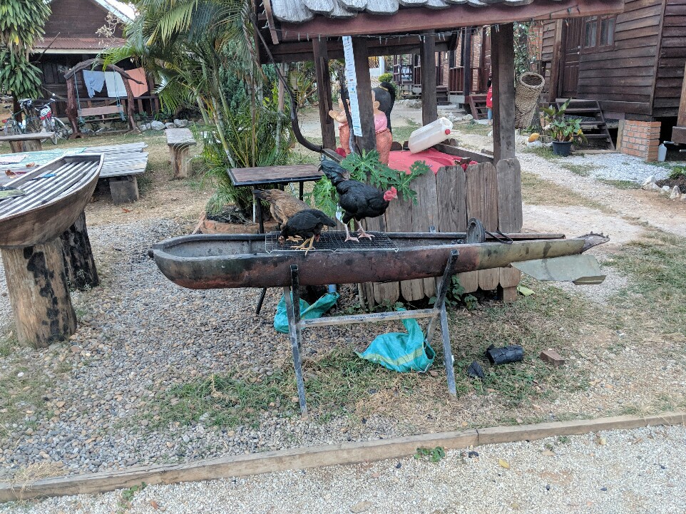 Barbecue fait à partir d'un obus avec des poules dessus à Sabaidee Guesthouse, Laos