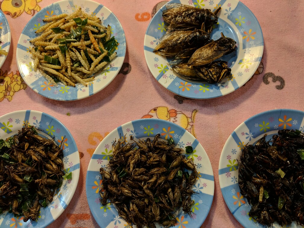 Assortiment d'insectes grillés disposés sur des assiètes à Chiang Rai, Thaïlande