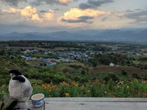 Biquette observe le panorama depuis Yun Lai, près de Pai en Thailande