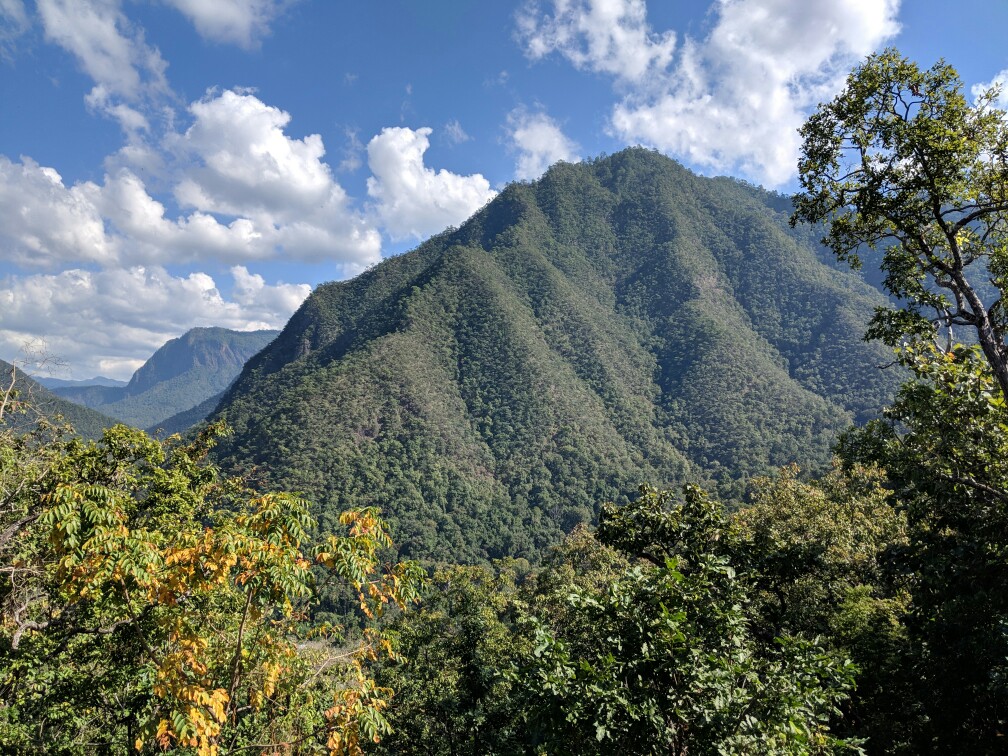 Montagne verdoyante sur la boucle de mae hong son en Thaïlande