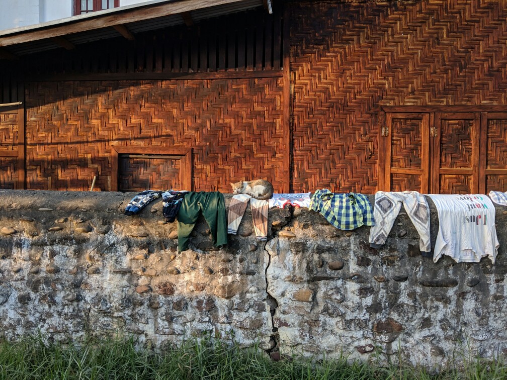Un chat fait sa sieste sur un muret sur lequel sèchent des vêtements à Hsipaw