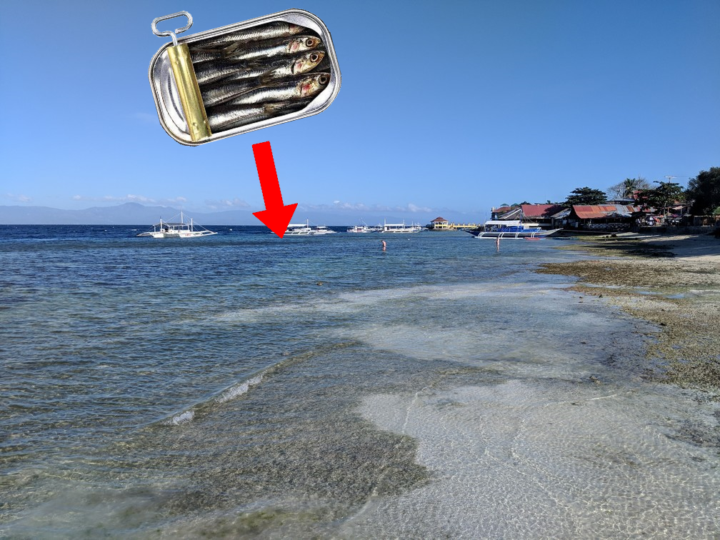 Boite à sardines qui pointe sur le bord de Panagsama beach