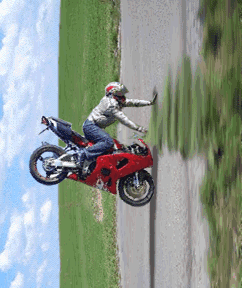 gif d'un motard qui monte à la verticale
