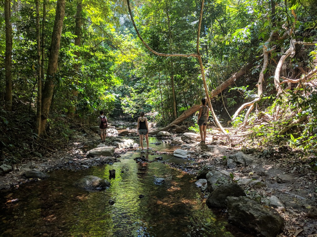 Quentin, Elodie et Salomé marchent dans la jungle de Koh Lanta le long d'un ruisseau