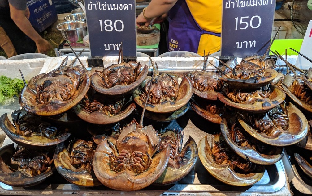 De bizarres crustacés sont grillés et en vente au festival de Laanta-Lanta