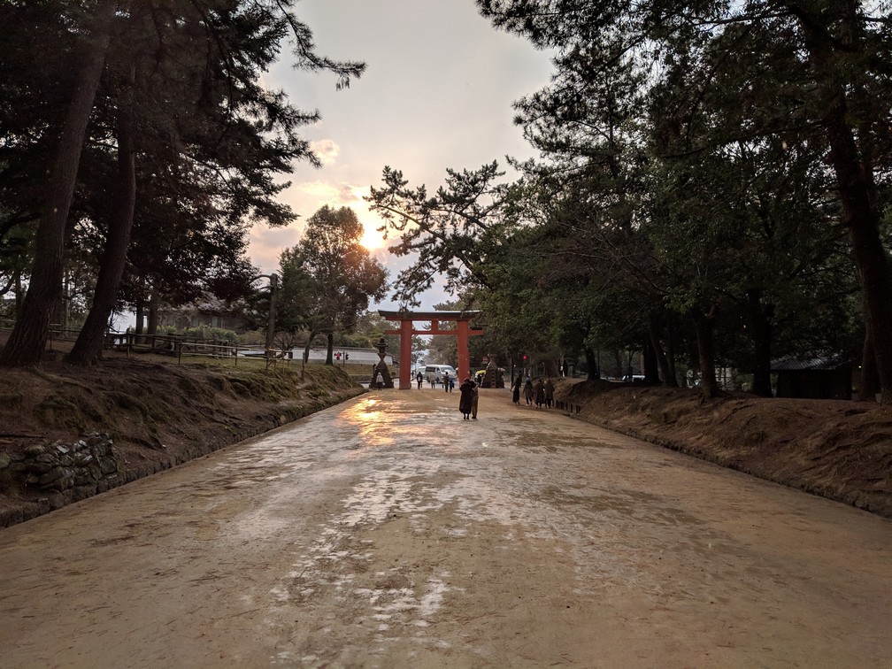 Coucher de soleil sur une allée bordée d'arbres du parc de Nara