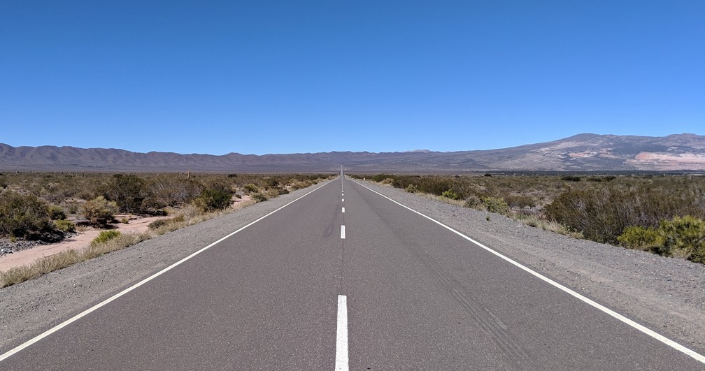 Une route toute droite à travers le paysage désertique du parc national de Los Cardones