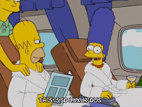 Homer et Marge Simpsons en première classe dans un avion