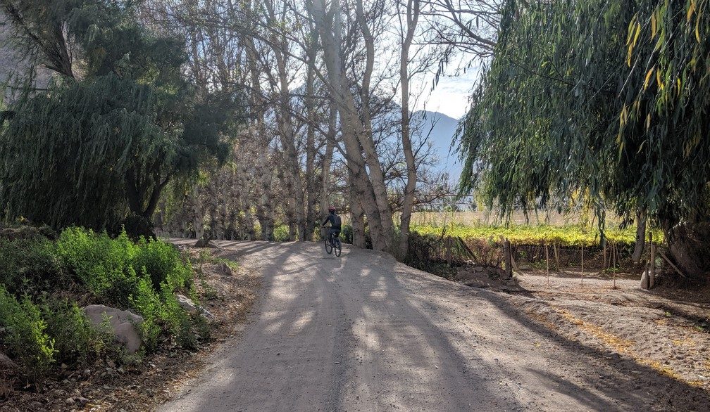 Salomé en vélo sur un chemin de gravier dans la vallée d'Elqui