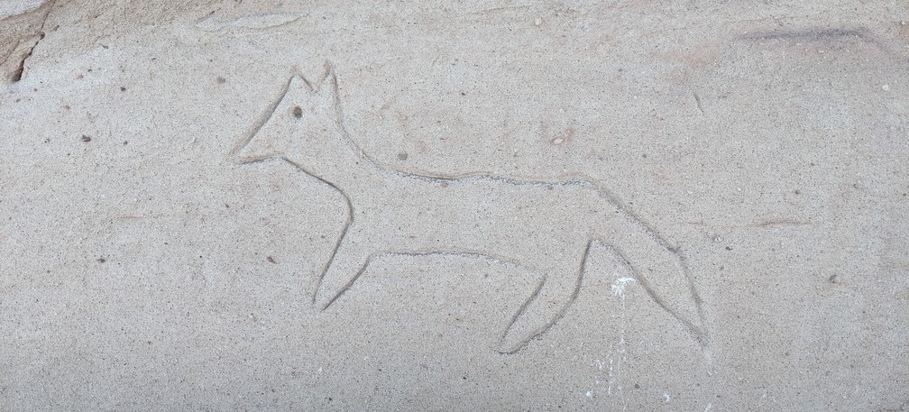 Un renard visiblement gravé par un touriste à Yerba