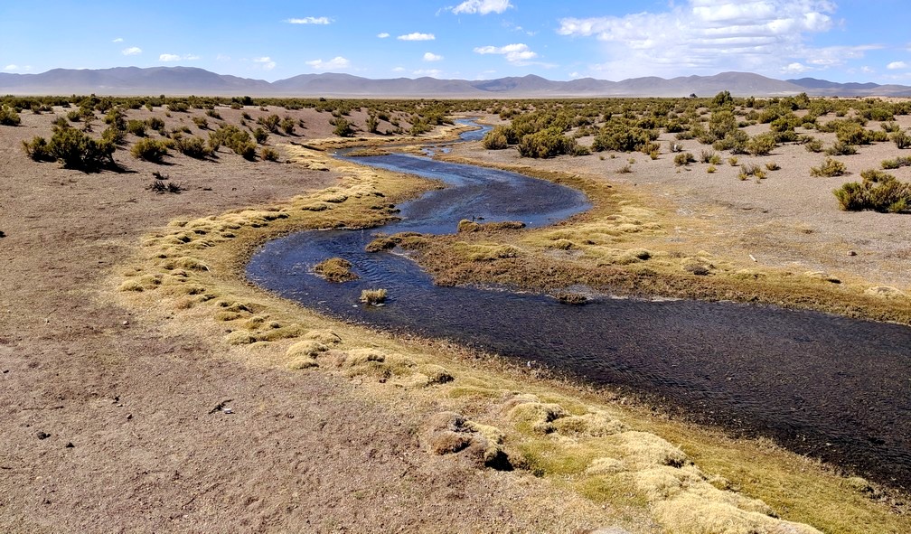 Rivière sinuante dans le désert entourant Julaca