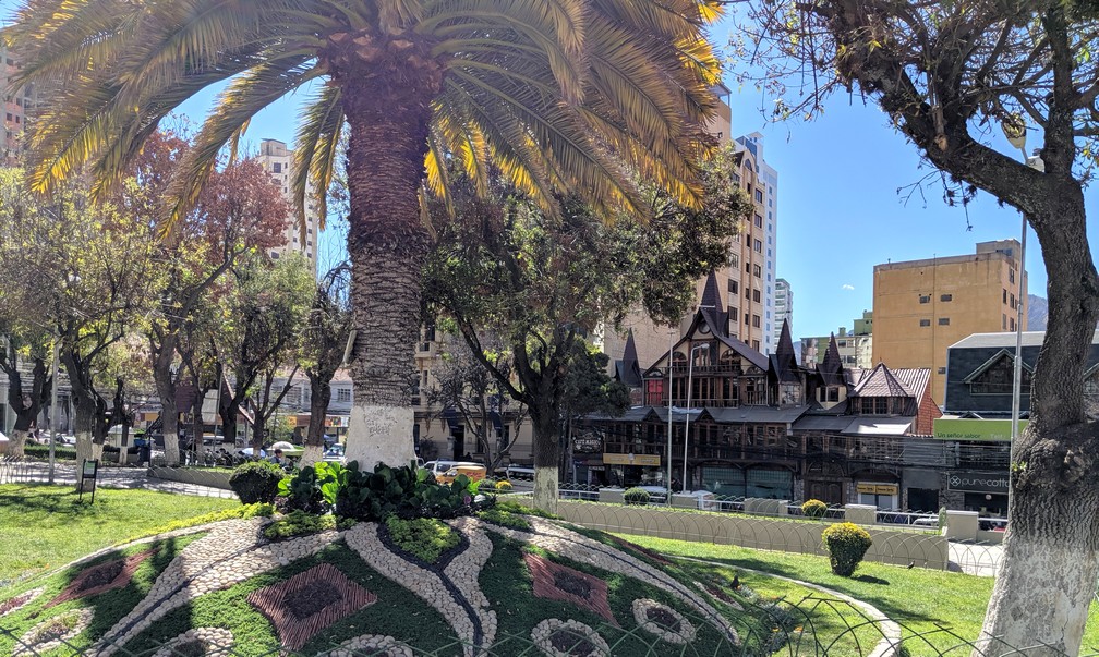Arbre de la Plaza Avaroa avec sa pelouse à motifs