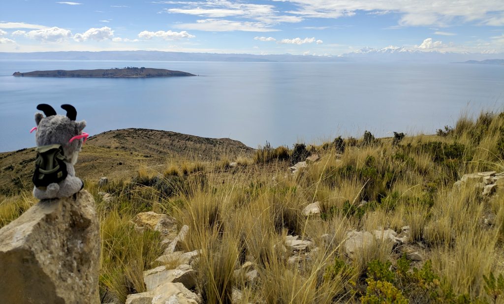 La petite Biquette observe l'île de la Lune sur le lac Titicaca