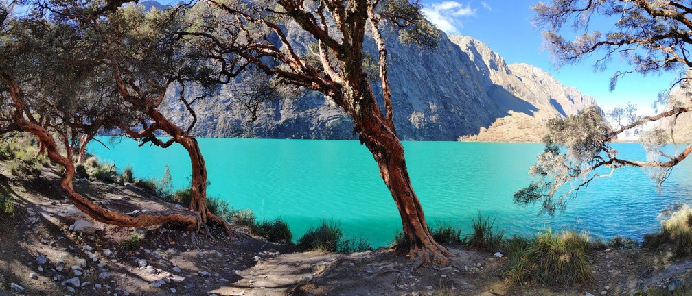 Eau turquoise et pins de la Laguna Chinan Cocha dans la cordillère blanche au Pérou