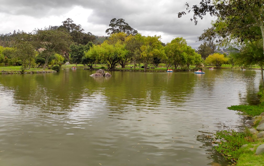 Des pédalos évoluent sur l'étang du parc de El Paraiso