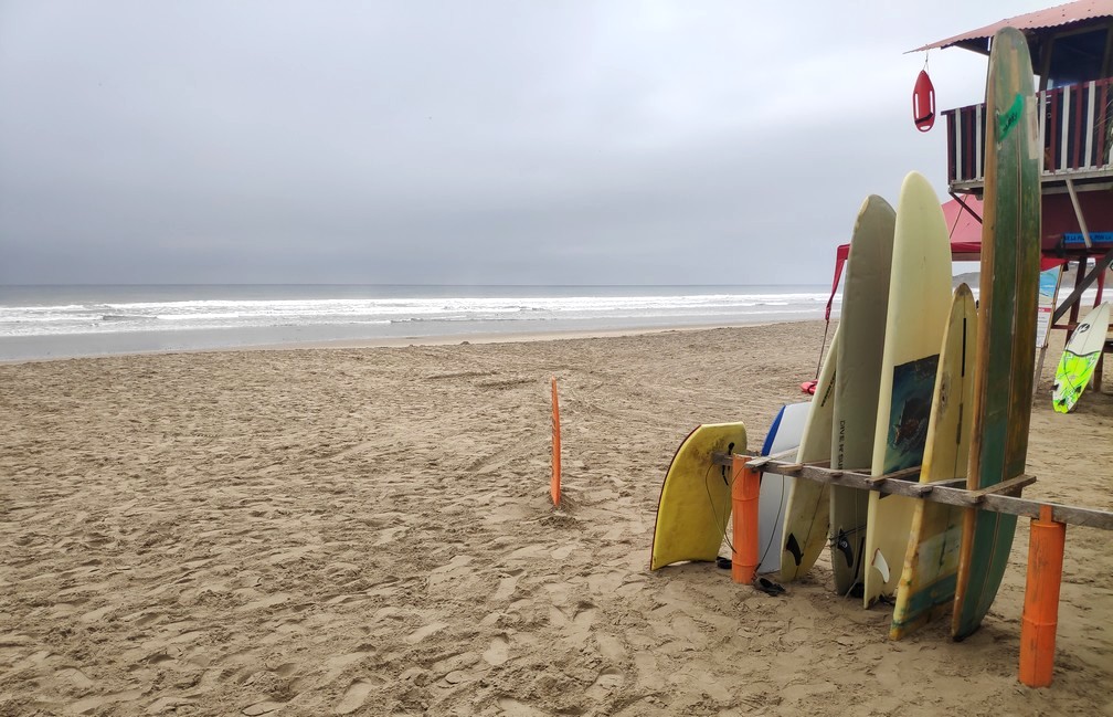 Planches de surf alignées sur la plage à Montañita