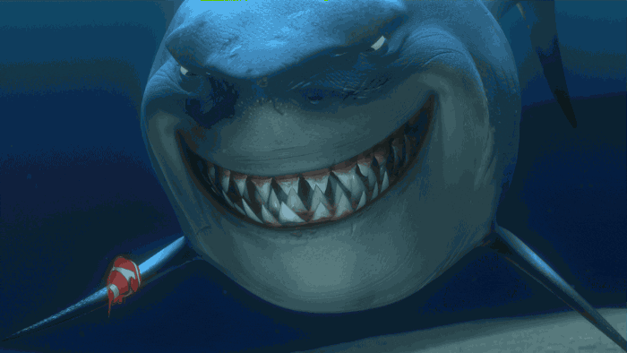 Gif animé d'un requin dans Nemo