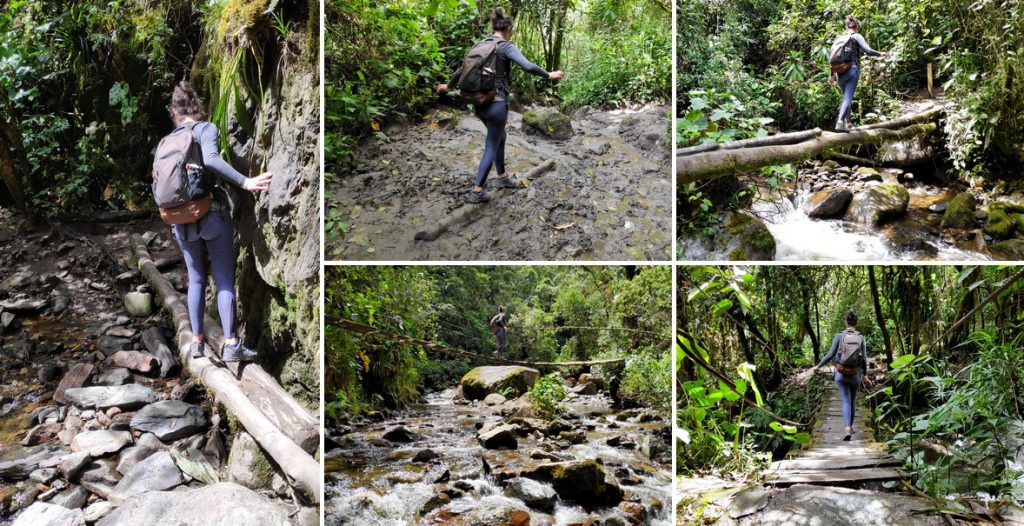 Assortiment de photos de passages dans la jungle sur la randonnée de la vallée de Cocora