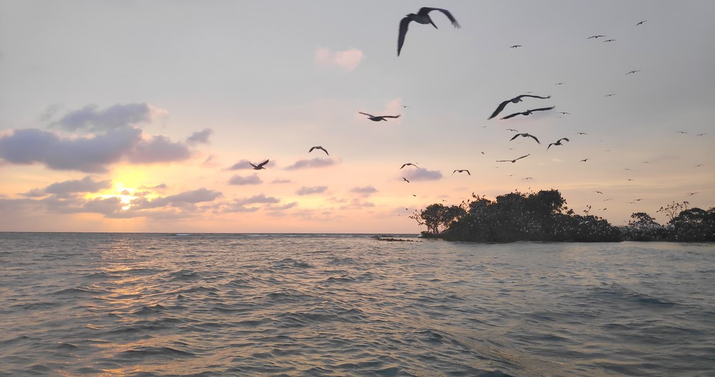 Coucher de soleil sur l'île aux oiseaux de Rincon del Mar