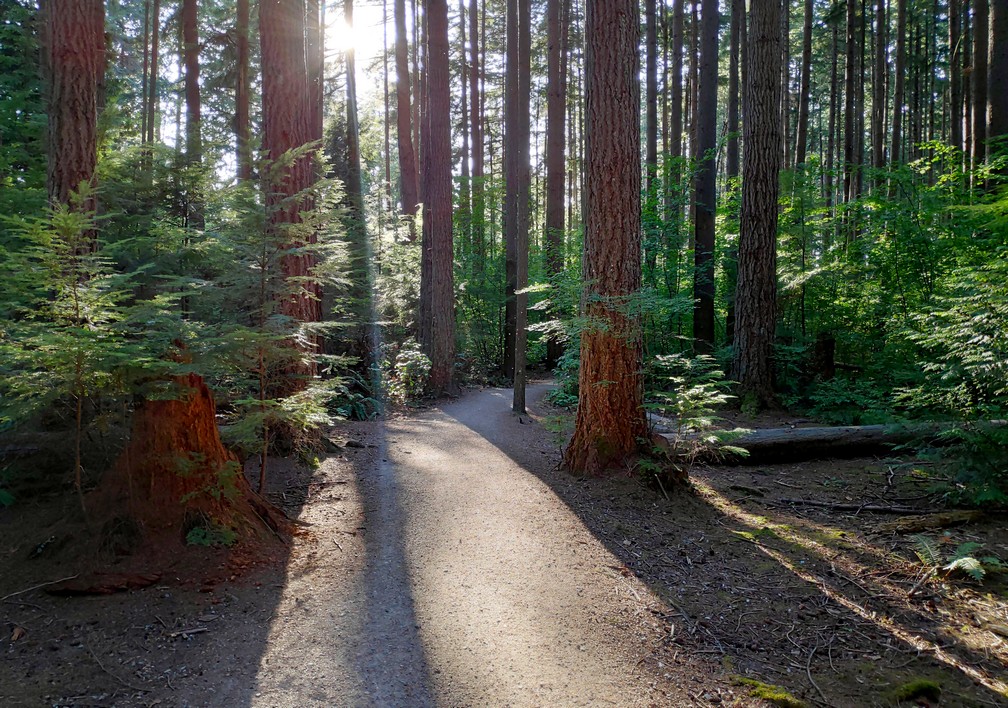 Spanish Trails dans Pacific Spirit Regional Park à Vancouver