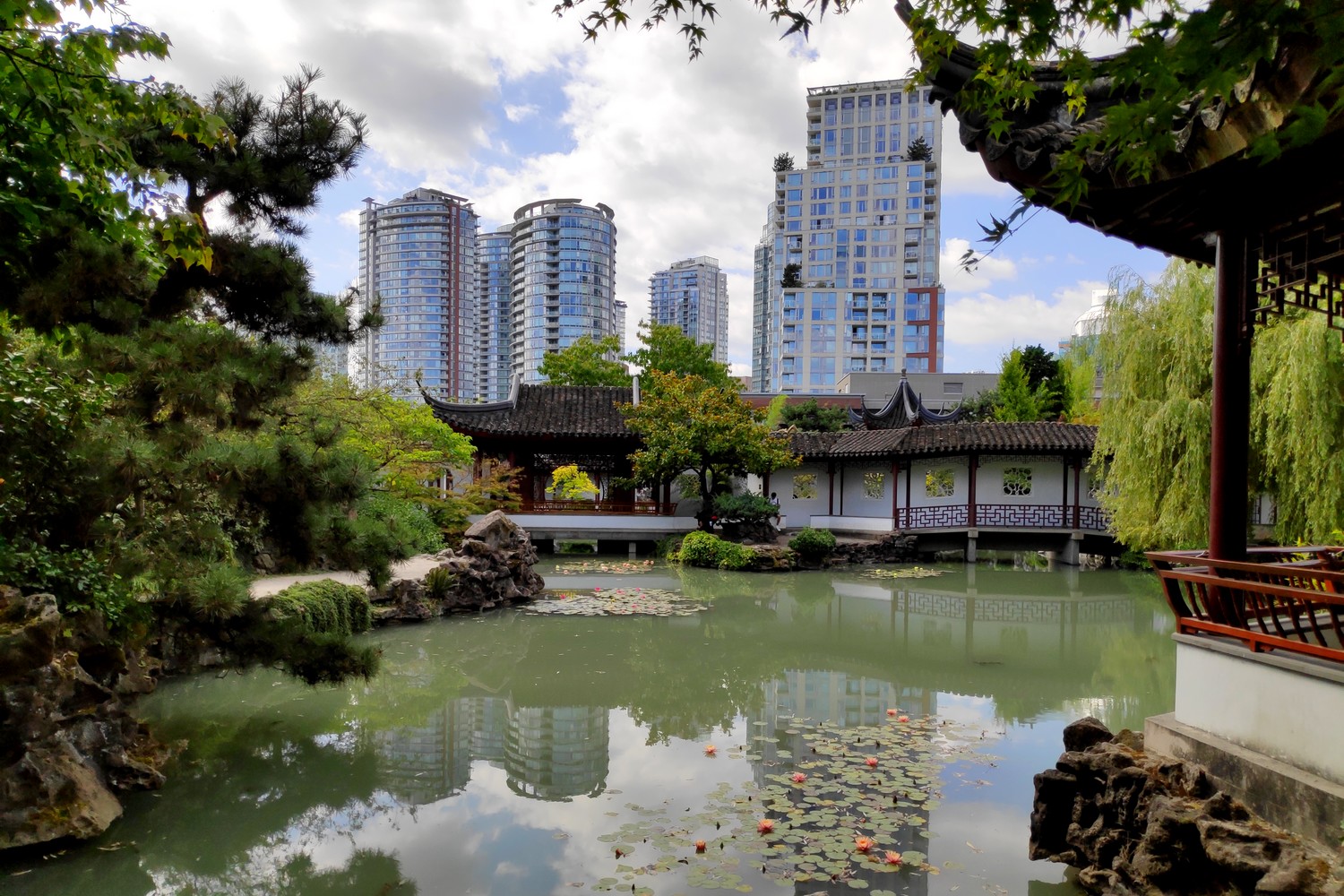 Jardin Chinois à Vancouver avec des immeubles en arrière-plan