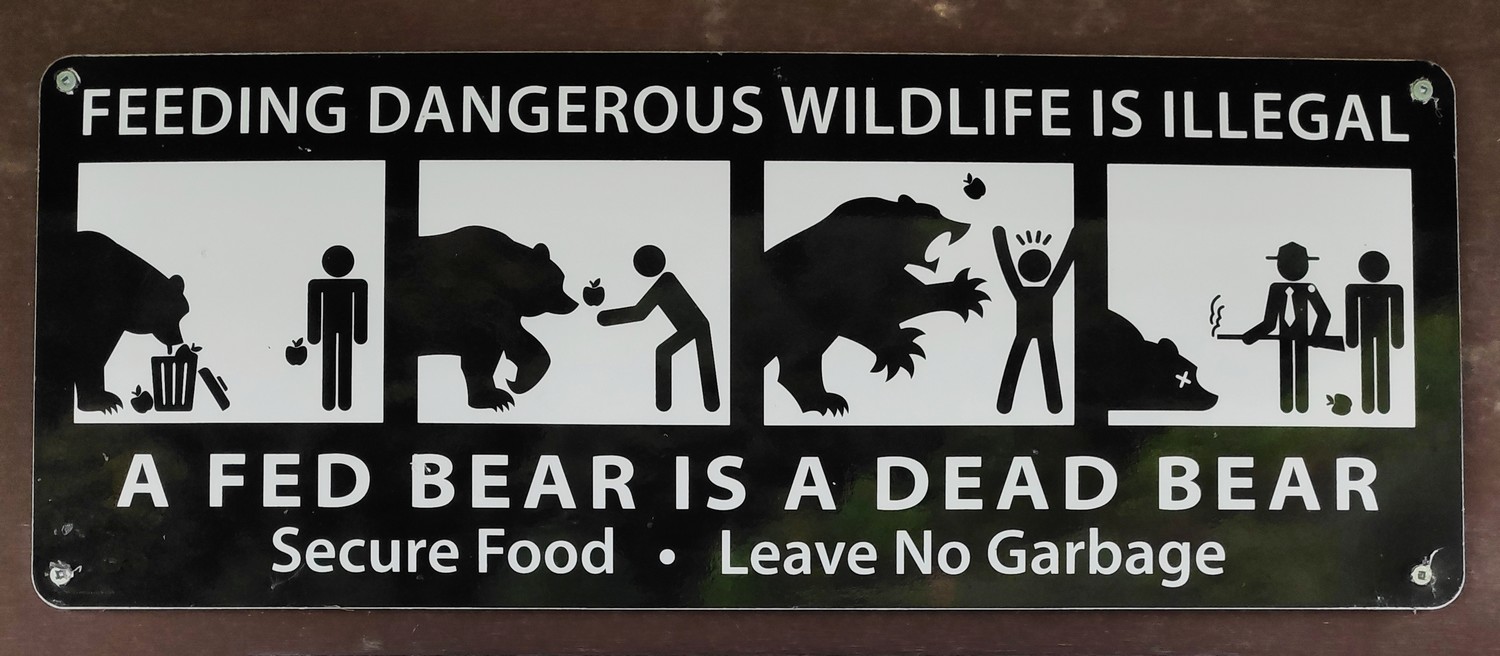 Illustration de prévention pour les ours