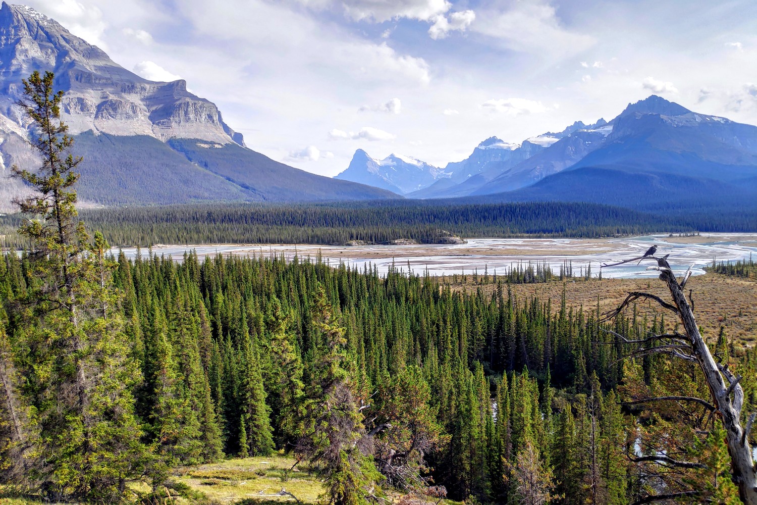 Panorama depuis l’Icefields Parkway