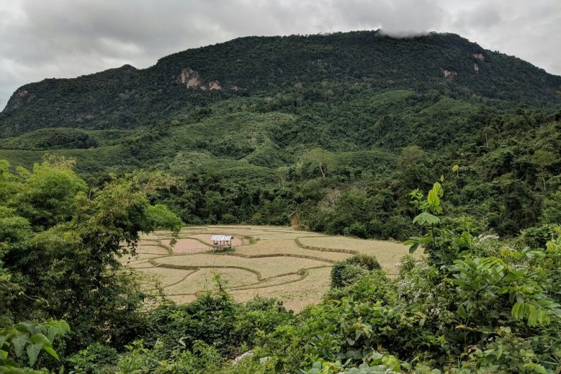 Vue sur un champs près de Muang Ngoi, Laos