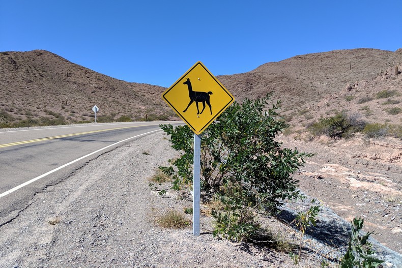 Panneau d'avertissement de présence de lamas proche de la route au sud de Salta